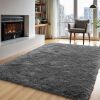 Zentavio Area Rugs for Living Room Grey Rugs for Bedroom 4x6 Carpet Fluffy Furry Soft Shag Aesthetic Plush High Pile Gray Throw Rug for Nursery Kids Room Dorm - Thumbnail 1