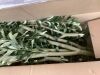 Artificial Olive Tree 7ft - Thumbnail 4