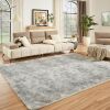 Light Grey Soft Fluffy Area Rug, 6 x 9 - Thumbnail 1