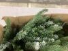 Set of 2 30 Inch Pre-lit Outdoor Christmas Decor - Thumbnail 2