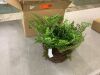 Nearly Natural Artificial Mixed Fern with Twig and Moss Basket - Thumbnail 2