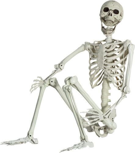 5.4ft Posable Halloween Skeleton - Lot 774