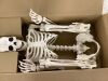 5.4ft Posable Halloween Skeleton - Thumbnail 3