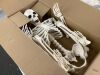 5.4ft Posable Halloween Skeleton - Thumbnail 4