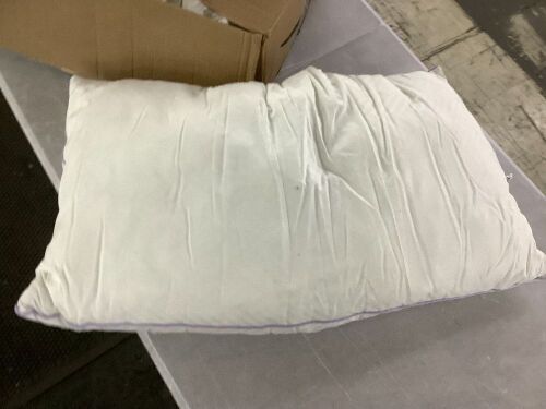 Charter Club Pillows, 2 pack - Lot 781