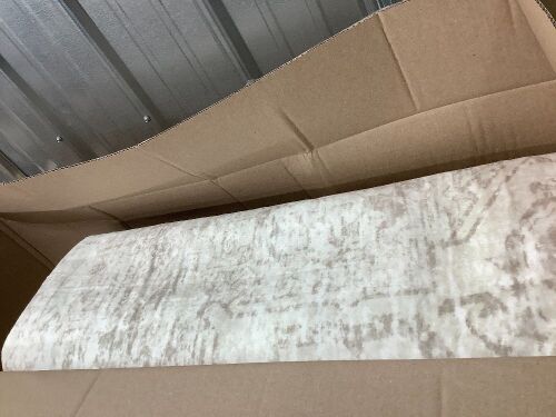 Large Indoor Area Rug - Lot 3267