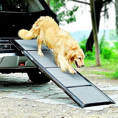 Pet Ramp (67in x 17in) - Lot 3340