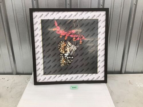 20x20 Picture Frame - Lot 3341