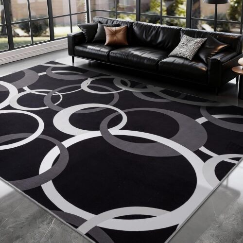 Area Rugs, Concentric Circle Carpet Washable Rug, Black and White Geometric Design Rug for Spacious Living Rooms, Master Bedrooms, Dining Room, Home Office Decor, Nonslip Non-Shedding - Lot 9919