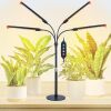 4-Head Desk Grow Lights for Indoor Plants, Seed Starting, Bonsai, Succulent, Cactus with Timer, 36W Table Top LED Plant Growing Lamps, Enough High-Intensity Like Sun, Best Gift for Plants Lover - Thumbnail 1