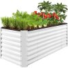 Outdoor Metal Raised Garden Bed for Vegetables, Flowers, Herbs - 8x2x2ft - Thumbnail 1