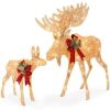 2-Piece Moose Family Lighted Outdoor Christmas Decoration Set w/ LED Lights - Thumbnail 1