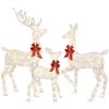 3-Piece Lighted Christmas Deer Set Outdoor Decor with LED Lights - Thumbnail 1