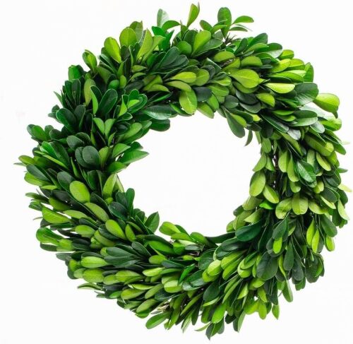 Boxwood Wreath 17 inch Preserved Nature Boxwood Wreath Home Decor Stay Fresh for Years Rustic Farmhouse Holiday Home Decor, Halloween Christmas Wreath - Lot 3574