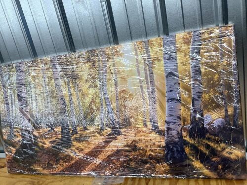 Large Canvas Wall Art - Lot 3703