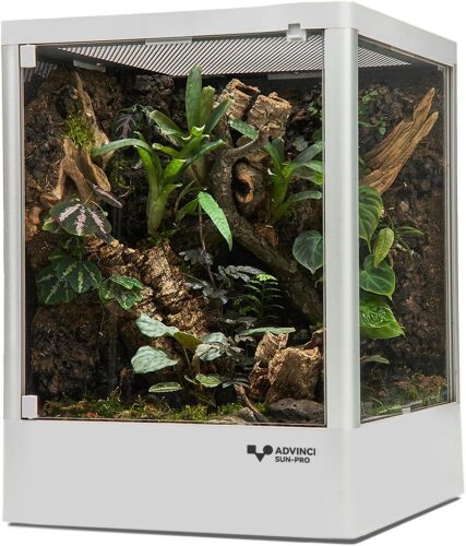 ADVINCI Reptile Terrarium 12"x12"x16" 9.5 Gallon,Aluminum Frame,Full Glass Tank Enclosure for Small Reptiles, Geckos, Frogs, Lizards, Snakes, Spiders, Turtles, Vertical Rainforest Habitat - Lot 3842