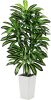 Artificial Dracaena Tree - 5FT Tall Fake Plants with White Tall Planter - Artificial Plants Indoor Floor Plant in Pot - Large Tropical Fake Yucca Potted Tree for Home Office Living Room Decor - Thumbnail 1