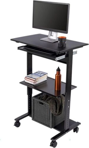 Mobile Adjustable Height Stand Up Workstation - Lot 156