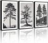 Vintage Black Gray Forest Wall Art Framed, 3 pc - Thumbnail 1