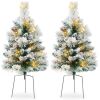 Set of 2 Pre-Lit Pathway Christmas Trees w/ Pine Cones, Timer - 24.5in - Thumbnail 1