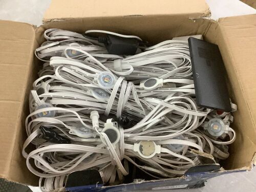 RGB Permanent Outdoor Lights 500' - Lot 165