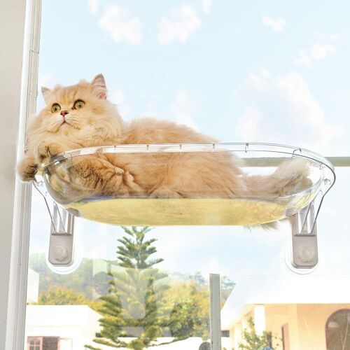 Transparent Cat Window Perch - Lot 799