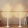 PABIPABI Birch Tree with LED Lights, 2 Pack 6ft Lighted White Christmas Trees Outdoor with Timer & Light Dimmer Prelit Artificial Twig Tree Set for Decorations Indoor Winter Home Garden Bedroom Decor - Thumbnail 1