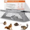 Live Rat Trap Indoor/Outside - Squirrel Trap, Have A Heart Animal for Chipmunk, Small Rabbits, Weasel and Similar-Size Rodents, 2 Doors, Fully Assembly (18" x 5" x 5") - Thumbnail 1