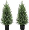 2 Pack 3Ft(37") Artificial Cedar Topiary Trees Artificial Cedar Trees for Outdoor UV Resistant Evergreen Artificial Pine Shrubs for Indoor and Outdoor Front Porch Office Decor - Thumbnail 1