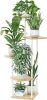 Bamworld Metal Plant Stand Indoor, 5 Tier Corner Plant Shelf for Multiple Plants, Black Tall Flower Stand for Patio Garden Balcony Living Room Bedroom - Thumbnail 1