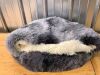Cat Bed for Indoor Cats, Calming Cozy Cave with Self-Warming Plush - Thumbnail 3