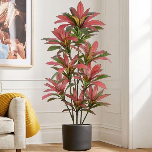 Artificial Red Dracaena Tree 6FT - Lot 270
