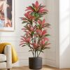 Artificial Red Dracaena Tree 6FT - Thumbnail 1