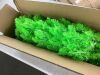 Bendable Whimsical Lime Green Christmas Tree 6' - Thumbnail 3