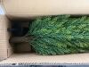 3FT Artificial Cedar Topiary Trees with Ground Spike, Set of 2 - Thumbnail 5