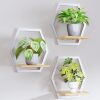 Modern White Hexagon Wall Planters with Solid Wood Shelves Set of 3 Geometric Floating Wall Decor for Indoor Plants, Stylish Wall Mounted Display for Succulents & Small Plants - Thumbnail 1