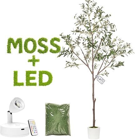 Olive Trees Artificial Indoor 7FT Tree with Rechargeable LED Spotlight, Decorative Moss & Weighted Pot – Tall Realistic Olive Plant for Home, Office, or Event Décor (7FT) - Lot 4467