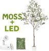Olive Trees Artificial Indoor 7FT Tree with Rechargeable LED Spotlight, Decorative Moss & Weighted Pot – Tall Realistic Olive Plant for Home, Office, or Event Décor (7FT) - Thumbnail 1