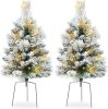 Set of 2 24.5in Outdoor Flocked Scotch Pine Pathway Christmas Trees, Battery Operated Pre-Lit Holiday Décor w/LED Lights - Thumbnail 1