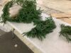 Artificial Pine Christmas Decor, 4 pc - Thumbnail 2