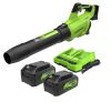 Greenworks 2x24V Leaf Blower - Thumbnail 1