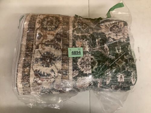 Large Indoor Area Rug - Lot 4894