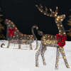 Lighted 2D Outdoor Christmas Reindeer & Sleigh Set w/ Warm White LED Lights - Thumbnail 1