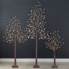 Set of 3 Lighted Twig Birch Trees, 4ft, 6ft, 8ft w/ 300 2-in-1 LEDs - Thumbnail 1