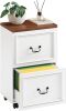 2 Drawer Rolling File Cabinet - Thumbnail 1