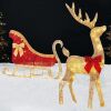 Lighted 2D Outdoor Christmas Reindeer & Sleigh Set w/ Warm White LED Lights - Thumbnail 1