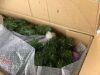 7.5' Pre-Lit Artificial Green Spruce Christmas Tree, w/Easy Assembly - Thumbnail 4
