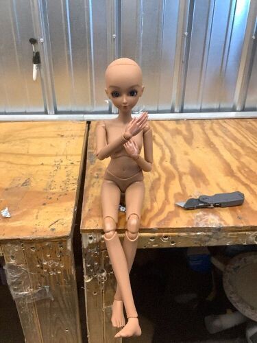 Flexible Action Figure Body Doll - Lot 5161
