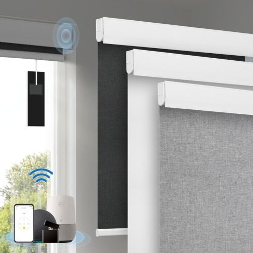 Motorized Blinds with Remote, [Free Solar Panels] Cordless Smart Blinds with Valance Cover, Blackout Electric Blinds with Remote Control, Automatic Roller Shades for Windows - Lot 5170