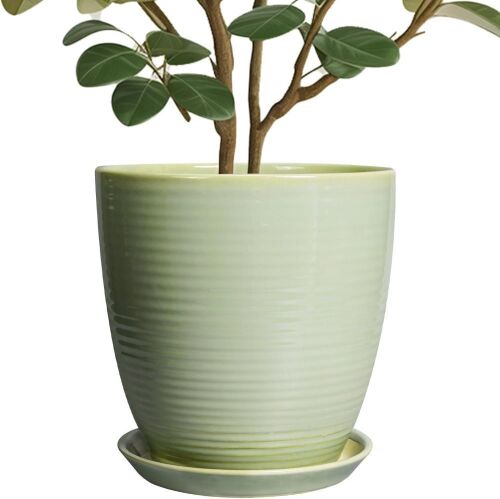 10" Ceramic Planter Pot with Drainage Hole & Tray - Lot 575